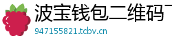 波宝钱包二维码下载